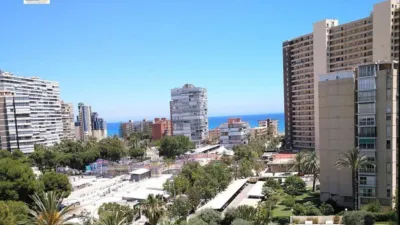 Apartment in Playa de San Juan photo 30