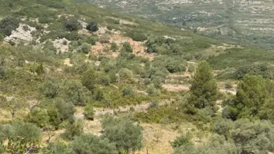 Rustic house in Albocàsser photo 9