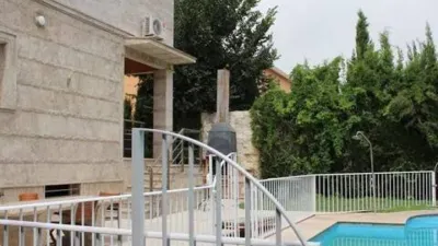 Miniatura 8