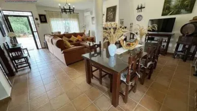 Chalet in Puente Genil photo 7