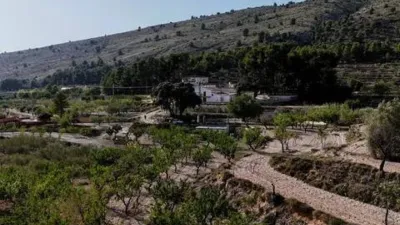 Rustic house on Calle Partida Campos, 30 photo 9