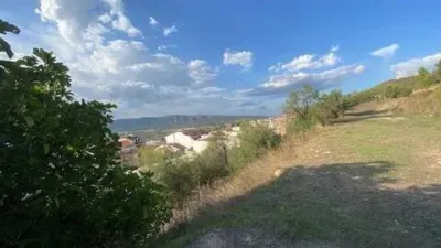 Rustic house in Banyeres de Mariola photo 18