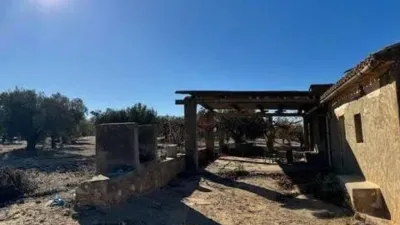 Pis – Biar, l'Alt Vinalopó / El Alto Vinalopó - Vista 3