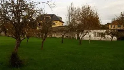 Terreno en venta en Calle Perillo No Number - Vista 2