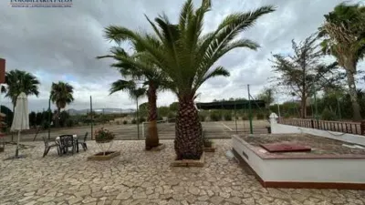 Chalet in Puente Genil photo 26