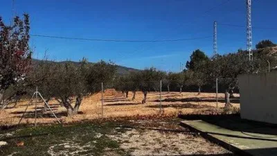 Chalet en Ibi photo 2