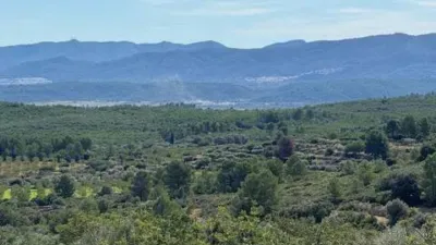Rustic house in Les Useres - Useras photo 58