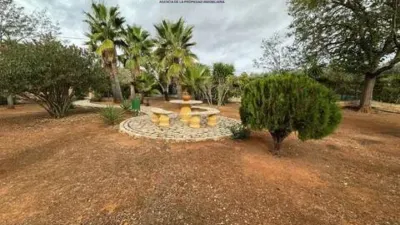 Chalet in Puente Genil photo 35