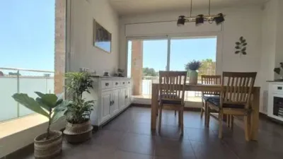 Chalet in Mas Trader-Corral d'en Tort-Corral d'en Cona photo 13