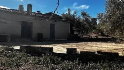 Pis – Biar, l'Alt Vinalopó / El Alto Vinalopó - Vista 5