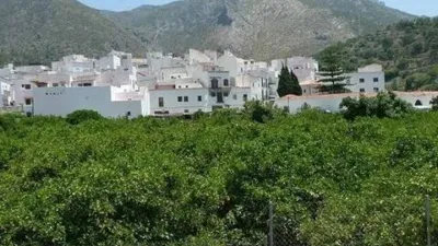 Rustic house in Istán photo 27