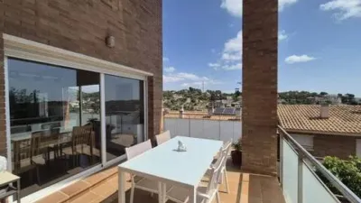 Chalet in Mas Trader-Corral d'en Tort-Corral d'en Cona photo 15