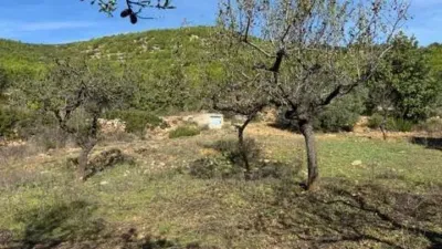 Rustic house in Les Useres - Useras photo 19
