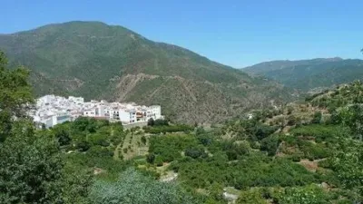 Rustic house in Istán photo 31