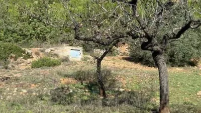 Rustic house in Les Useres - Useras photo 18