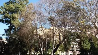 Apartment in La Xerea photo 6