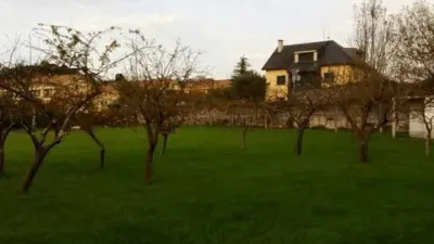 Terreno en venta en Calle Perillo No Number - Vista 5