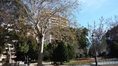 Apartment in La Xerea photo 21