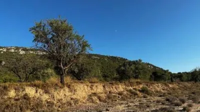 Casa – Biar, l'Alt Vinalopó / El Alto Vinalopó - Más