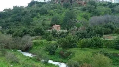 Rustic house in Istán photo 24