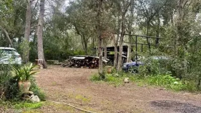 Rustic property in Sineu photo 31
