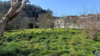 Terraced house in Coiroa photo 41