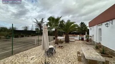Chalet in Puente Genil photo 24