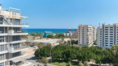 Apartment on Avenida del Artista Remigio Soler López photo 27