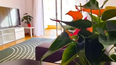 Apartment in El Rosario photo 9