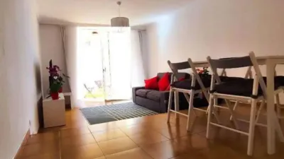 Apartment in El Rosario photo 10