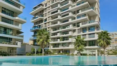 Apartment on Avenida del Artista Remigio Soler López photo 3