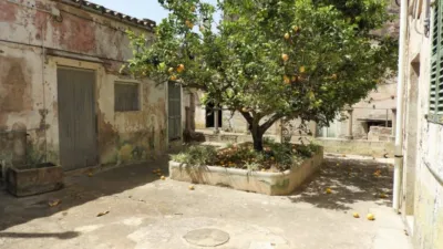 House in Felanitx photo 5