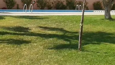 Terraced house in Gran Alacant photo 21