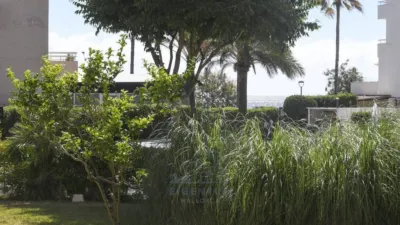 Apartment in Son Servera photo 31