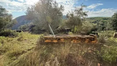 Rustic farmhouse in Llucena - Lucena del Cid photo 31
