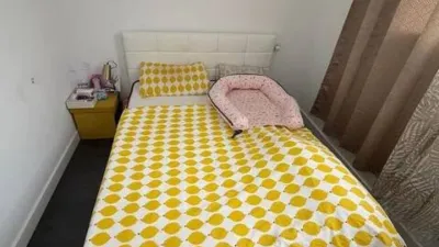 Penthouse on Calle Coroma photo 16