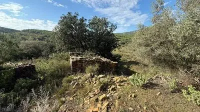 Rustic farmhouse in Llucena - Lucena del Cid photo 42