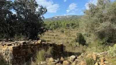 Rustic farmhouse in Llucena - Lucena del Cid photo 44