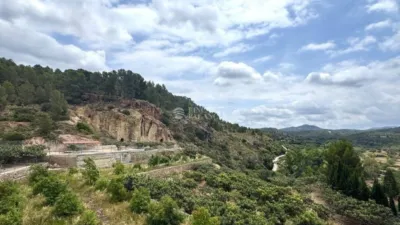Terraced house in Sot de Ferrer photo 47