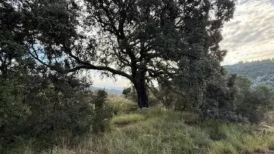 Rustic farmhouse in Llucena - Lucena del Cid photo 4