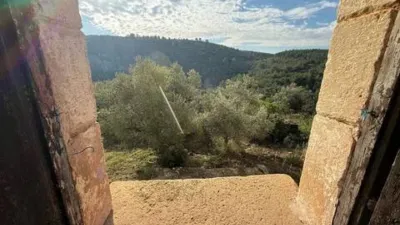 Rustic farmhouse in Llucena - Lucena del Cid photo 28