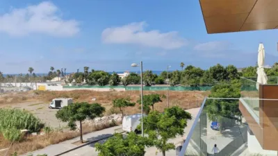 Apartment in Torre del Mar photo 10