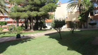 Apartment on Avenida de Playa Serena photo 16