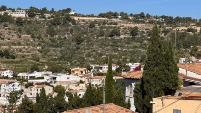 Chalet in La Viña-Montemar-San Jaime photo 4