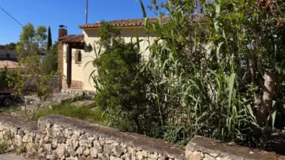 Chalet in La Viña-Montemar-San Jaime photo 15