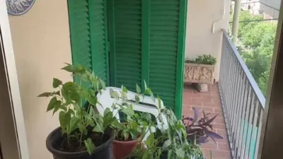 Apartment in Son Espanyolet photo 17