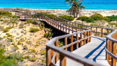 House in Gran Alacant photo 26