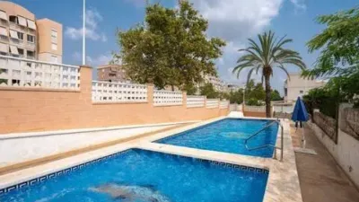 Apartment in Los Arenales del Sol photo 25