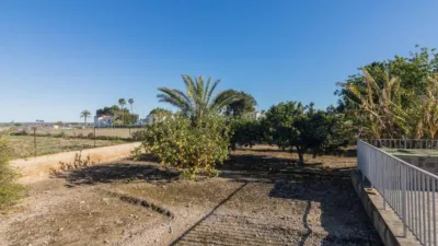 Casa – Elx - Elche - Vista 4