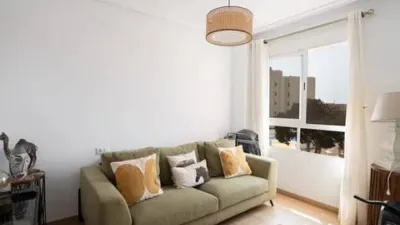 Apartment in Los Arenales del Sol photo 22